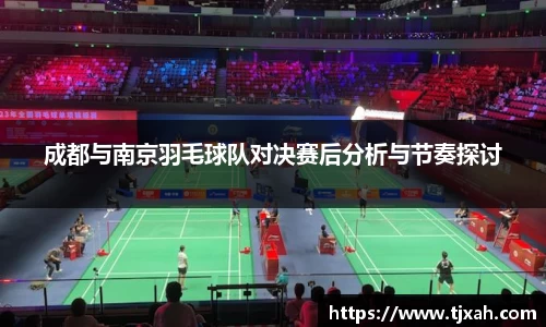 成都与南京羽毛球队对决赛后分析与节奏探讨