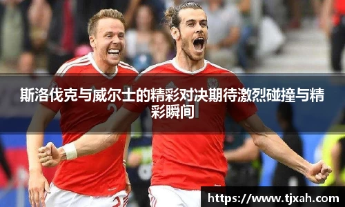 天博克罗地亚平台